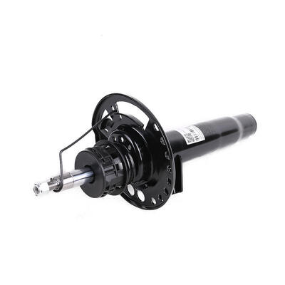 Car Suspension System Rear Right Left Shock Absorber OE NO. 3131689093 for BMW