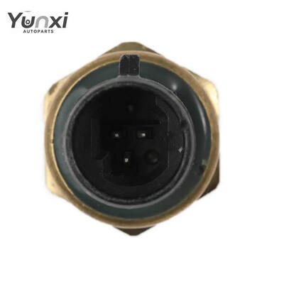 Fuel Pressure Sensor OE NO.A028X493 for Construction Machinery