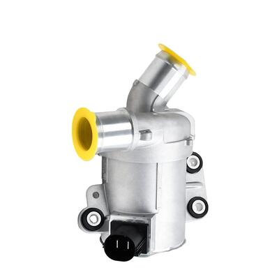 Auto Water Pump Manufacturers Ks72-8501-a Ds7z8c419b Ds7e8c419ba Auto Electronic Water Pumps for Car